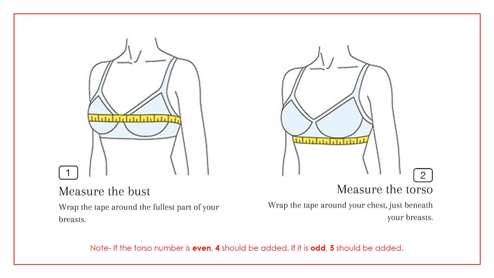 Bra Size Change Illustration